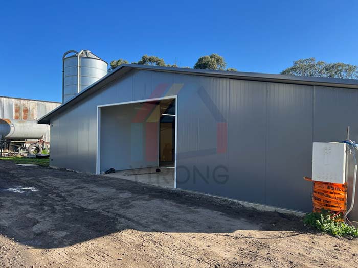 Australian egg chicken farms